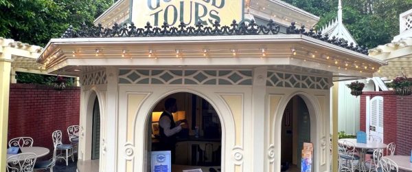 Disneyland Guided Tours