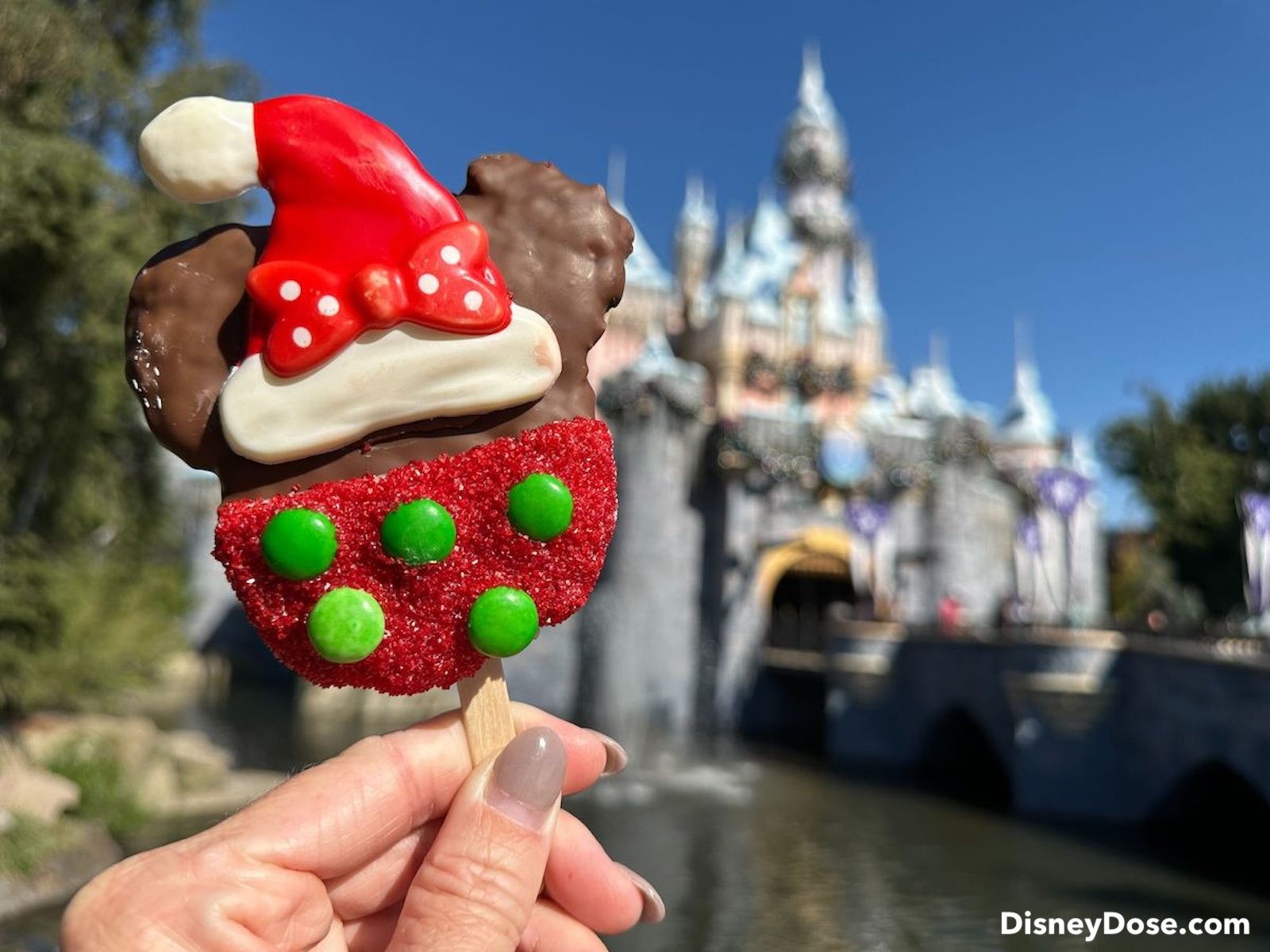Disneyland seasonal treats