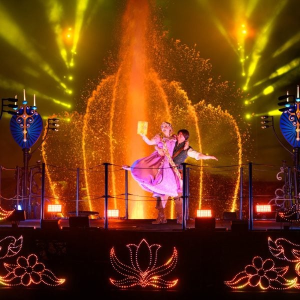 Fantasmic! Disneyland Tangled