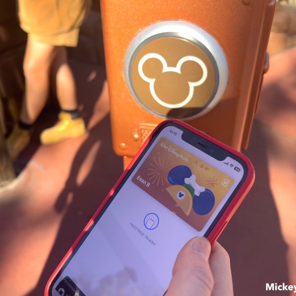 Entering disney world line