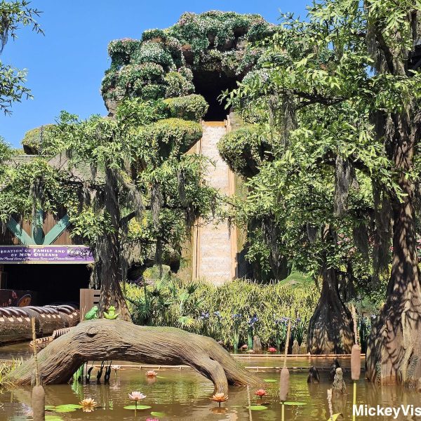 Tianas Bayou Adventure