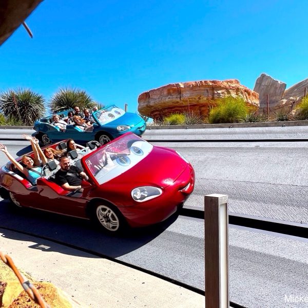 Radiator Springs Racers Cars