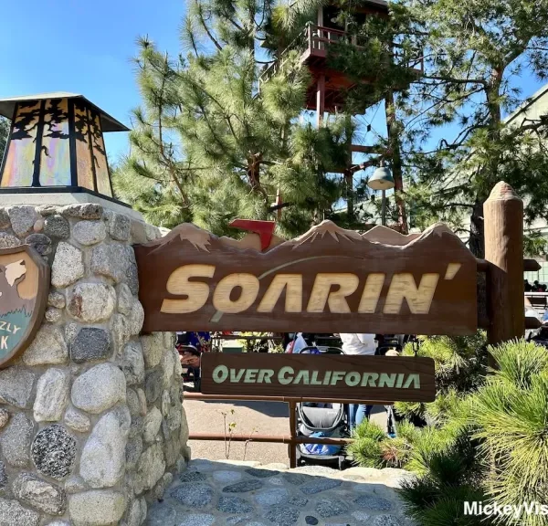 Soarin Over California