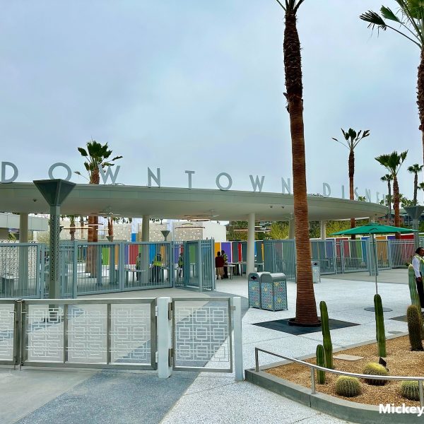 downtown disney security plaza