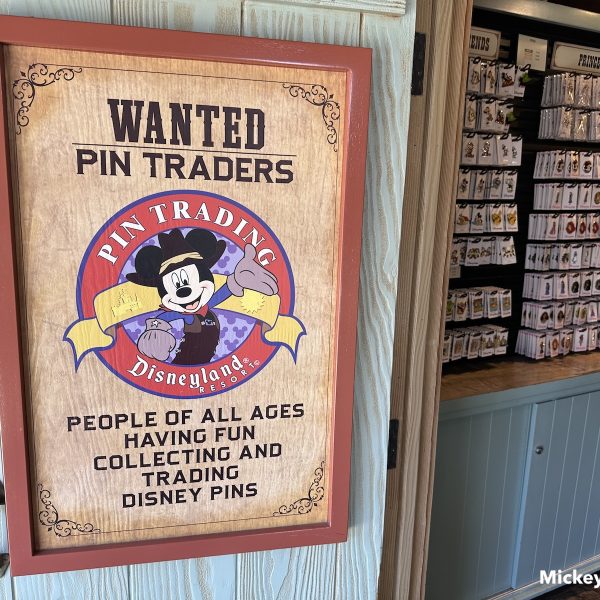 Disney pin trading