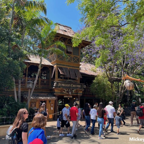 Adventureland at Disneyland