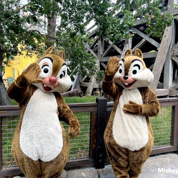 Chip and Dale Grizzly Peak Pass