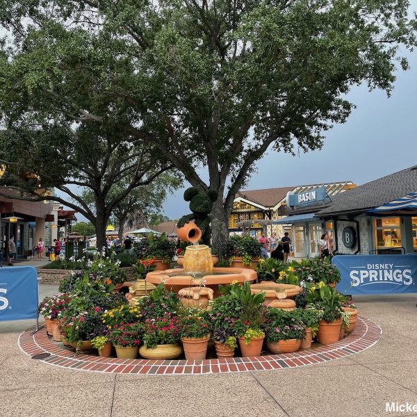 DIsney Springs