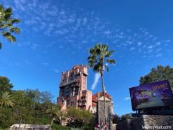 Disney World Crowd Calendar 2025-2026 (Updated Monthly!)