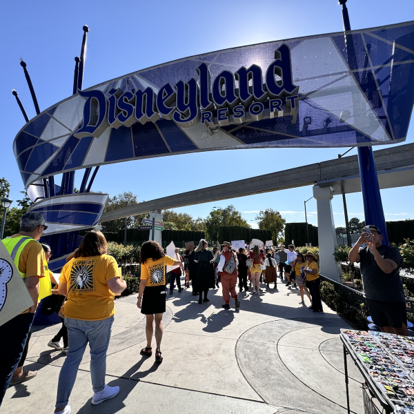 disneyland union rally today