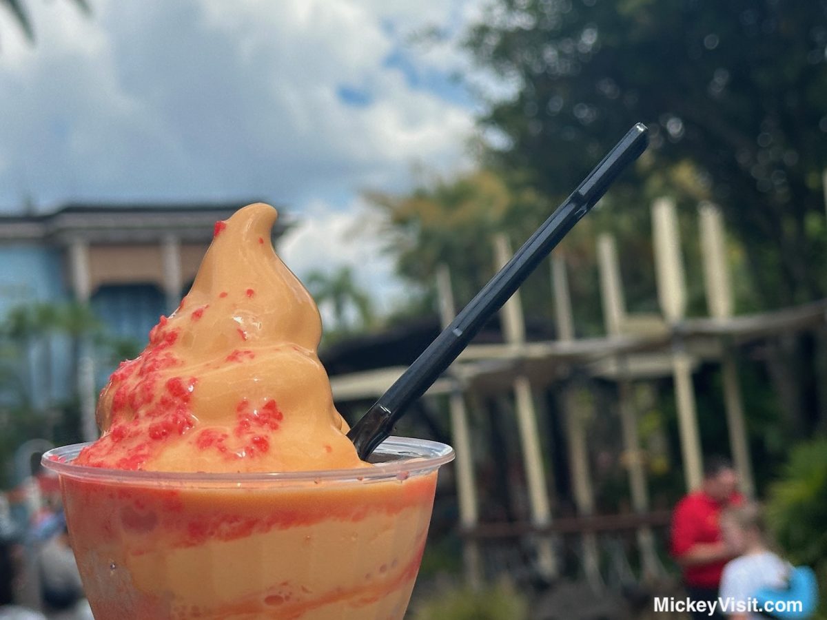 Best Secret HACK to Beat the Long Dole Whip Lines at Magic Kingdom
