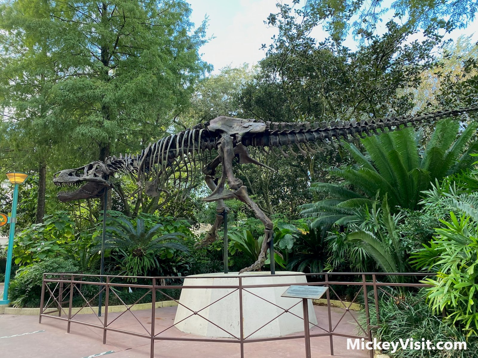 DinoLand USA at Animal Kingdom