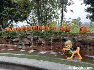 Pluto Downtown Disney pumpkins