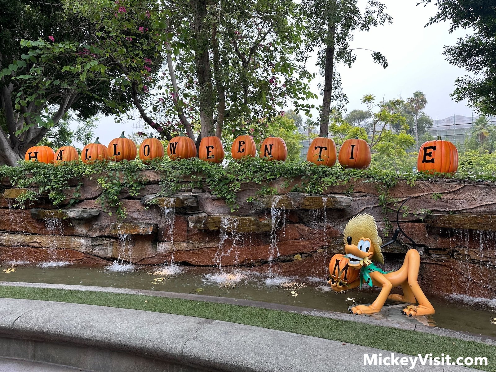 Pluto Downtown Disney pumpkins