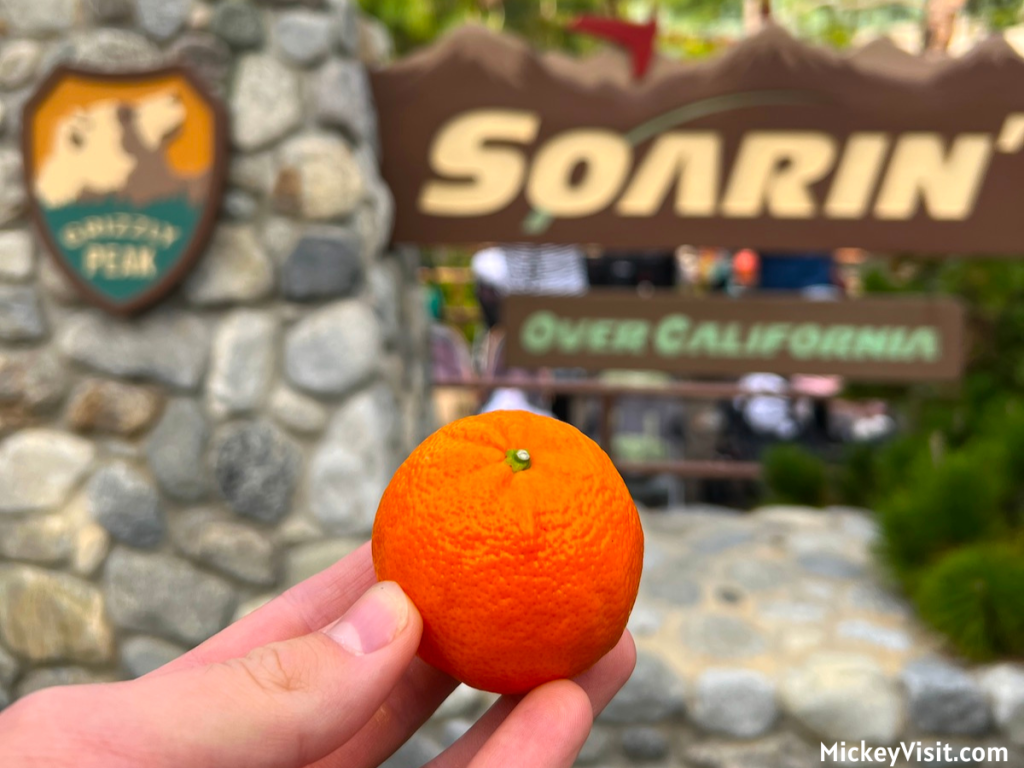 soarin over california orange