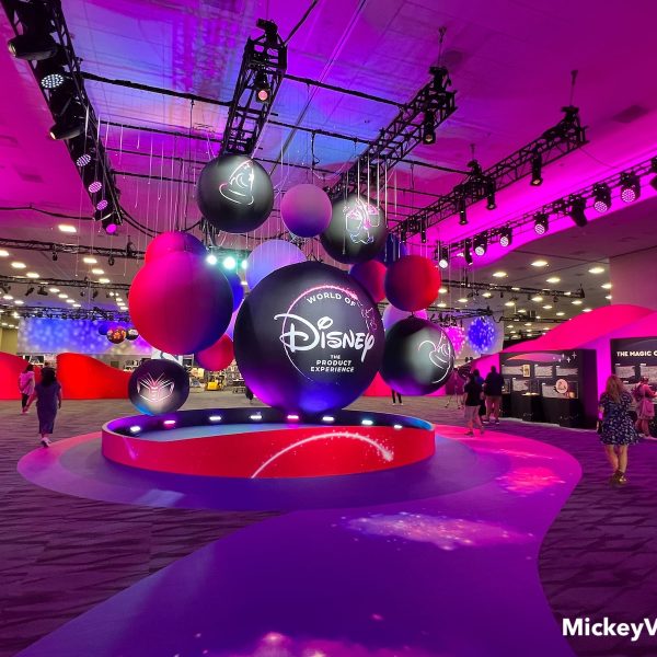 D23 Expo shopping