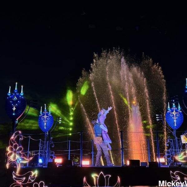 Blue Bayou fantasmic view