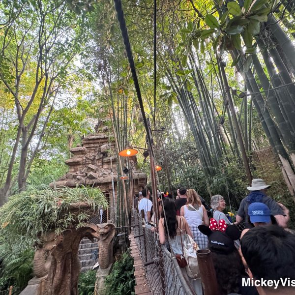 Indiana Jones Adventure