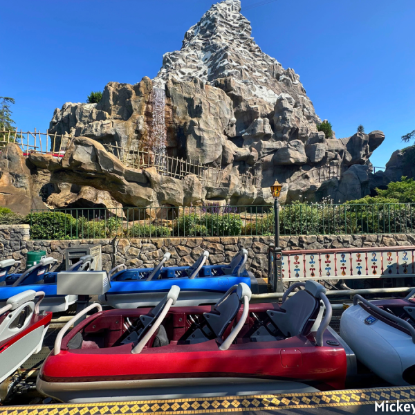 Matterhorn Bobsleds