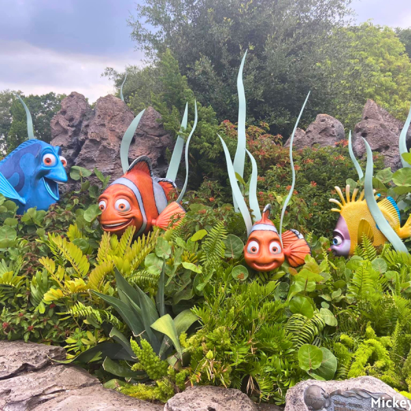 The Seas with Nemo and Friends display
