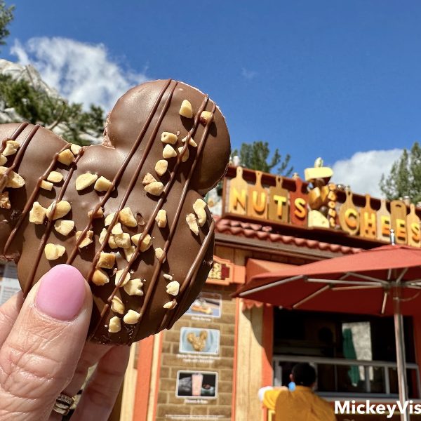 Disney California Adventure Food & Wine Festival treats
