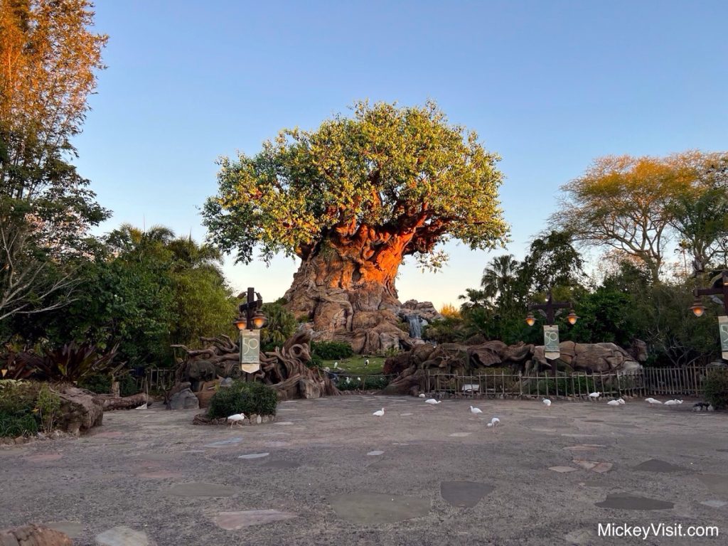 They Said Disney Was Over! These Hidden Gems Prove Otherwise!