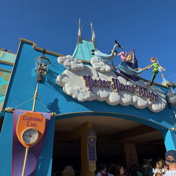 Disney World Lightning Lane