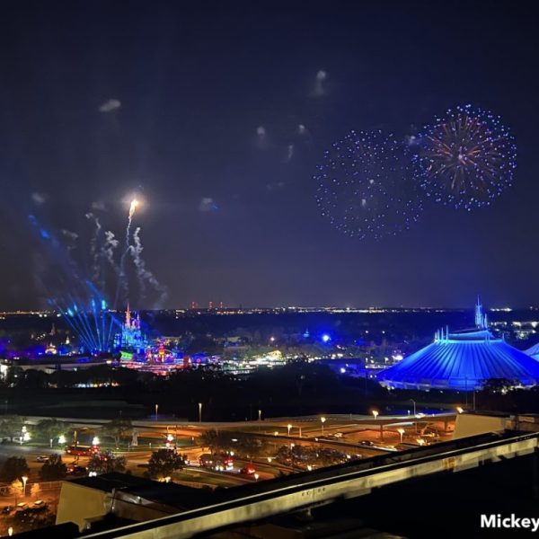 Fireworks at Disney