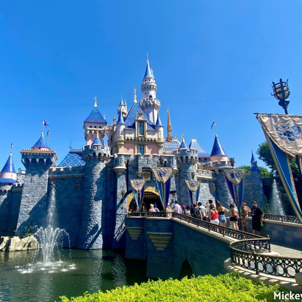 Sleeping Beauty Castle