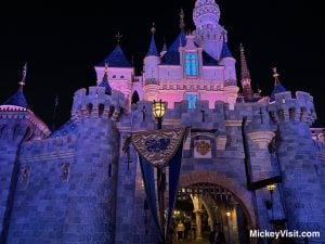 Disneyland castle at night