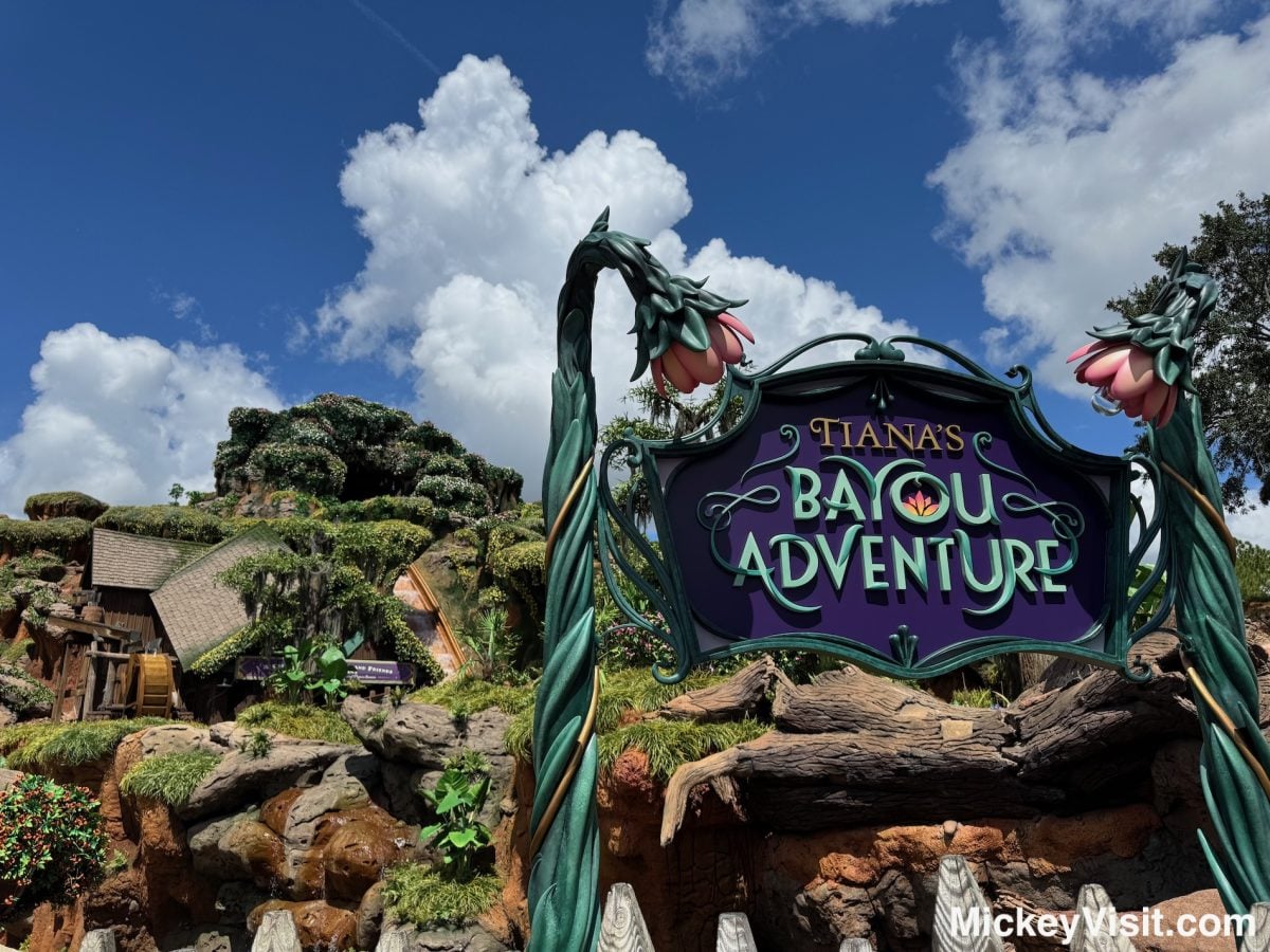 Tiana's Bayou Adventure
