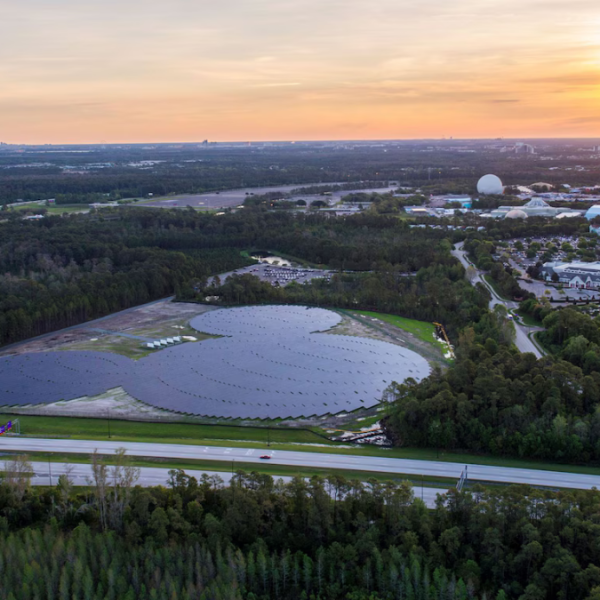 Disney World solar panels