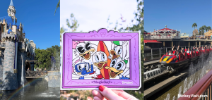 Disneyland Magic Key