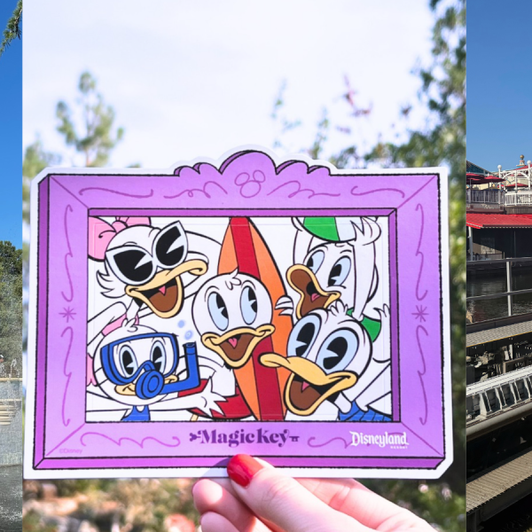 Disneyland Magic Key
