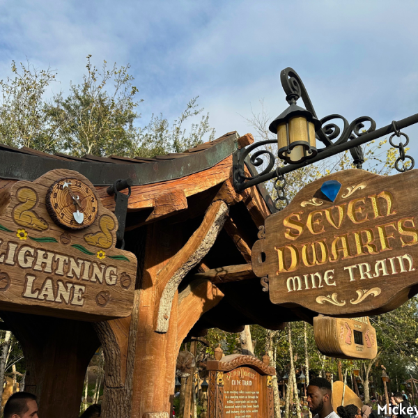 Seven Dwarfs Mine Train entrance
