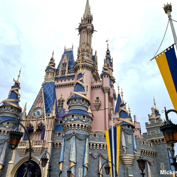 Disney World castle