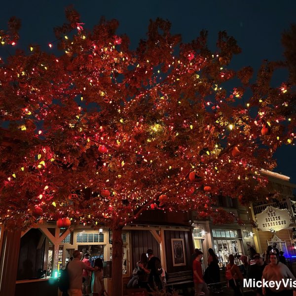 Halloween tree Disneyland