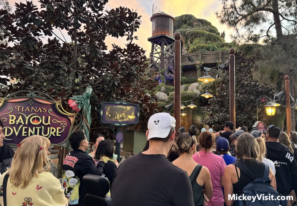 tianas bayou adventure line at disneyland