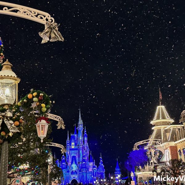 Magic Kingdom Christmas Main Street