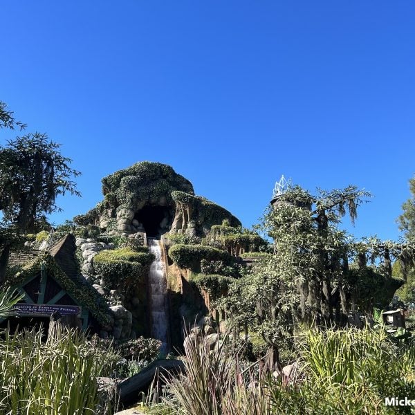 Tiana's Bayou Adventure exterior