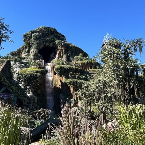 Tiana's Bayou Adventure exterior