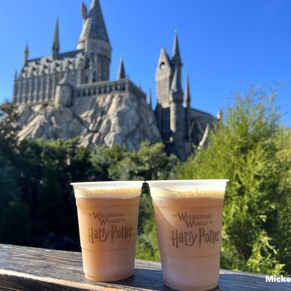 Universal Orlando Butterbeer