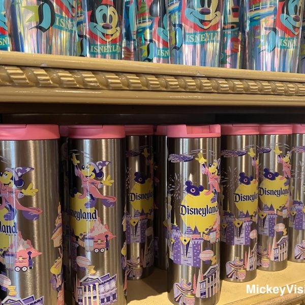 Disneyland cups tumblers