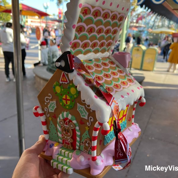 Disneyland popcorn bucket