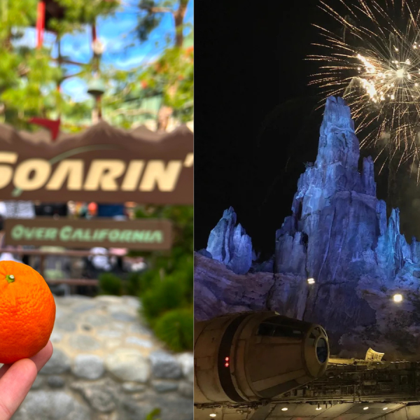 Disneyland Soarin' Over California and Galaxy's Edge fireworks