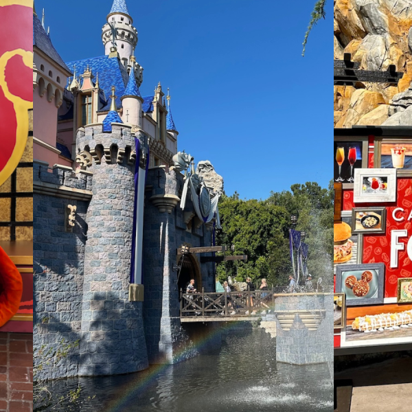 Disneyland Castle