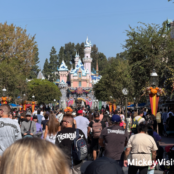 Disneyland busy season