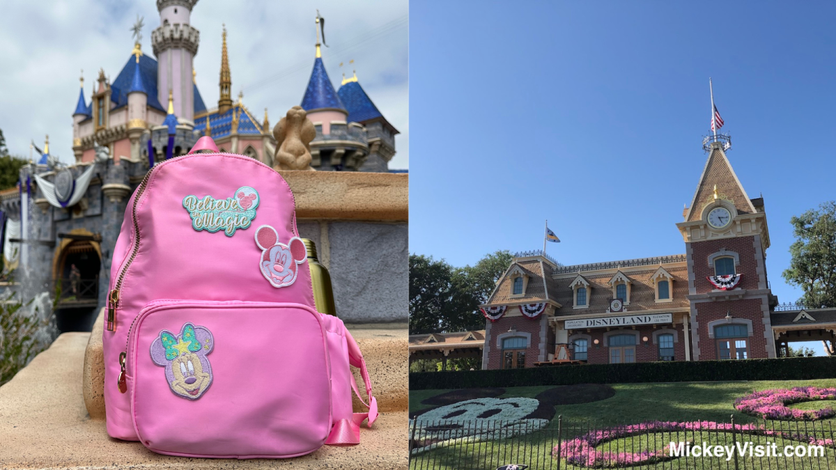 Disneyland park bag and train station