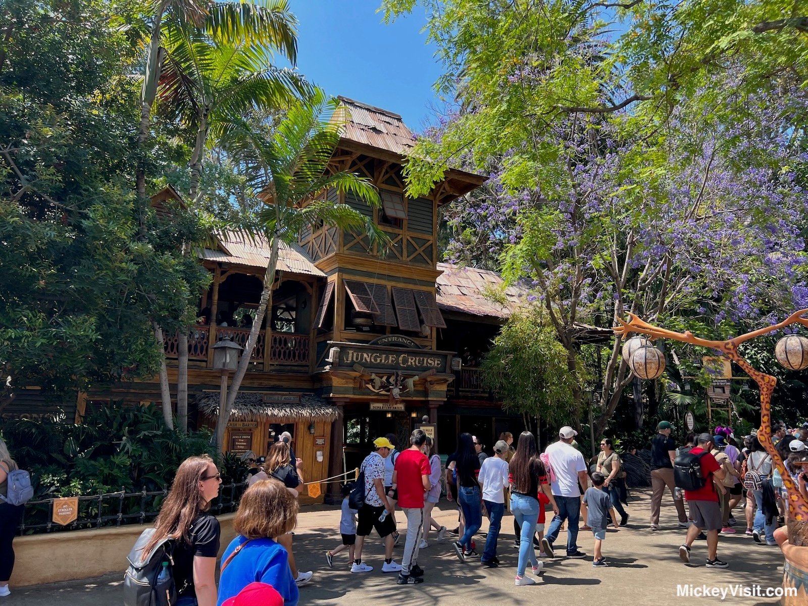 Disneyland Adventureland crowds