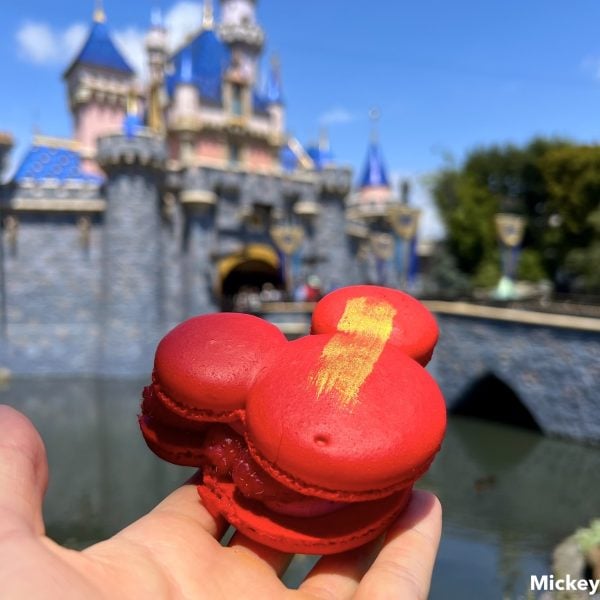 Jolly Holiday Bakery Cafe Raspberry Macaron
